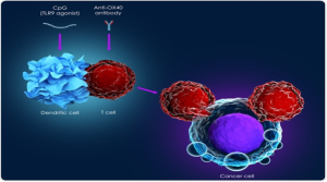 Immunotherapies