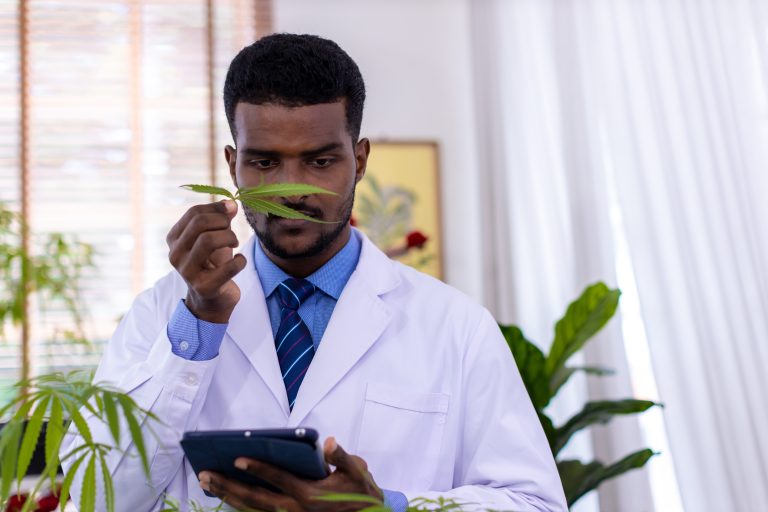 Botanical and plant-based dermatology products