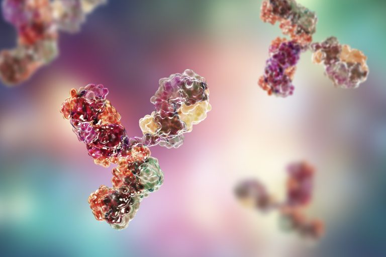 Monoclonal antibodies